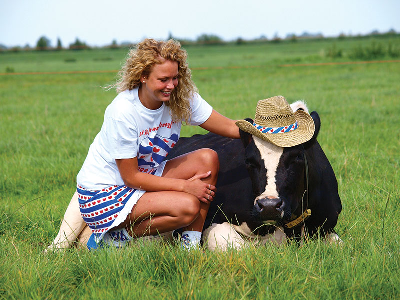 De Snitser Mar, het Sneekermeer, het meer van Europa.