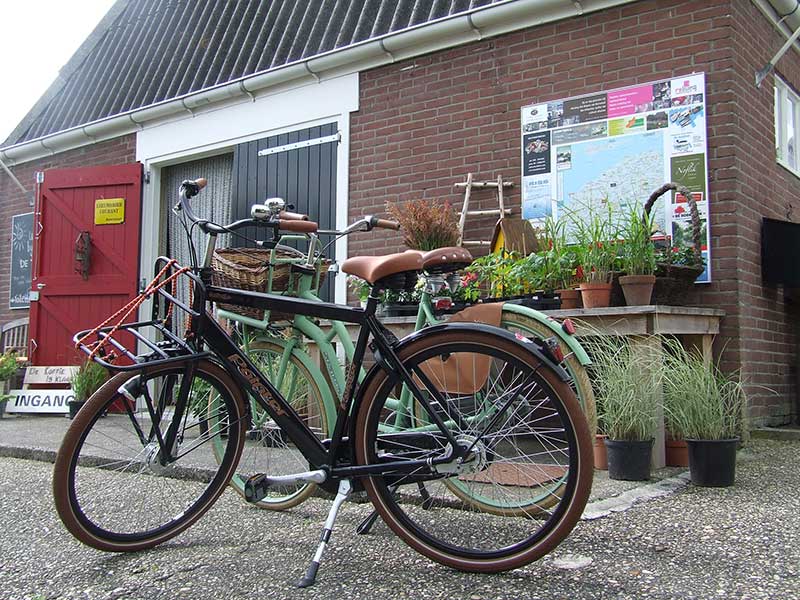 De Noordelijke Elfstedenroute is rijk aan terpen, terrasjes, smakelijke verrassingen, unieke winkeltjes, ateliers en..... originele Friese streekproducten!