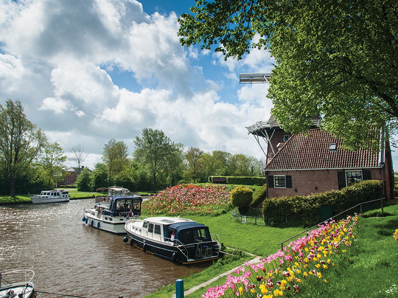 Tulpenstad Dokkum. Foto: Stichting Dokkum Tulpenstad