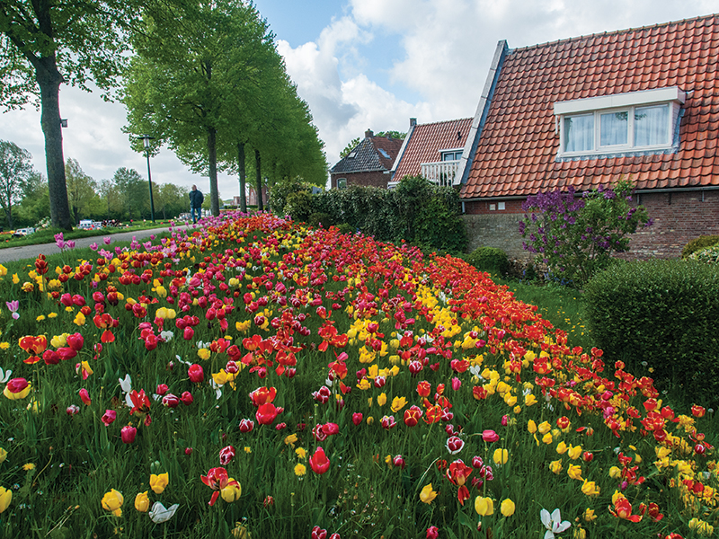 Tulpenstad Dokkum. Foto: Stichting Dokkum Tulpenstad