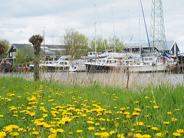 Watersport Twee Provinciën, Yachtcharter Leeuwarden en Sailcharter Friesland zijn gevestigd in de Leeuwarder wijk Zuiderburen. Deze wordt aan de noordzijde begrenst door het Van Harinxmakanaal, ten westen door de Drachtsterweg en ten zuiden door de N 31. De terpdorpen Hempens en Teerns zijn door de wijk ingesloten. De wijk is genoemd naar een voormalig buurtschap ten zuiden van Hempens. De straatnaam Suderbuorren verwijst daar ter plekke nog naar.
