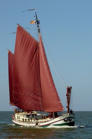 Stella Frisia Stella Frisia